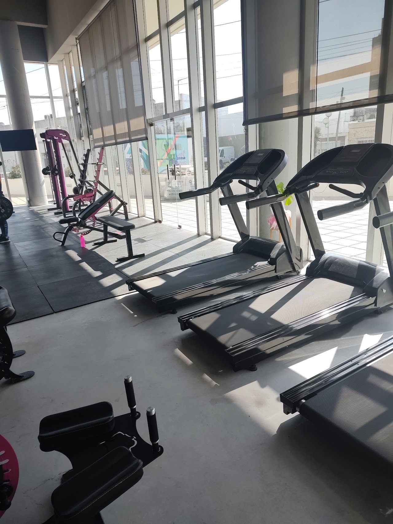 Close-up of premium matte black and neon pink dumbbells arranged neatly on a luxury gym rack, soft bokeh gym background with warm pink lighting accents, high resolution fitness photography